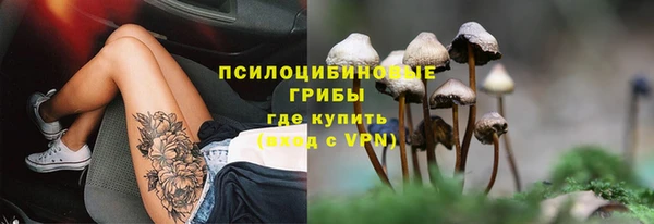 шишки Абинск