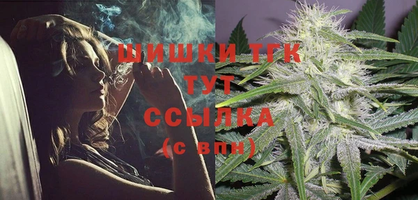 прущие крисы Няндома