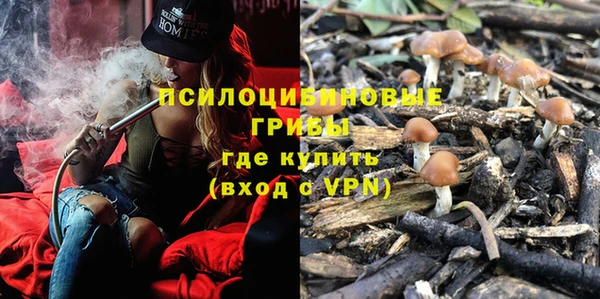 шишки Абинск