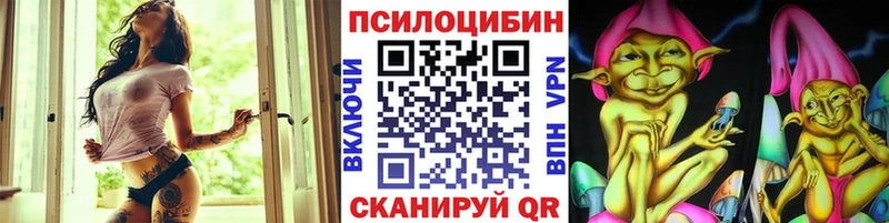 закладка Белоусово Псилоцибиновые грибы Psilocybine cubensis